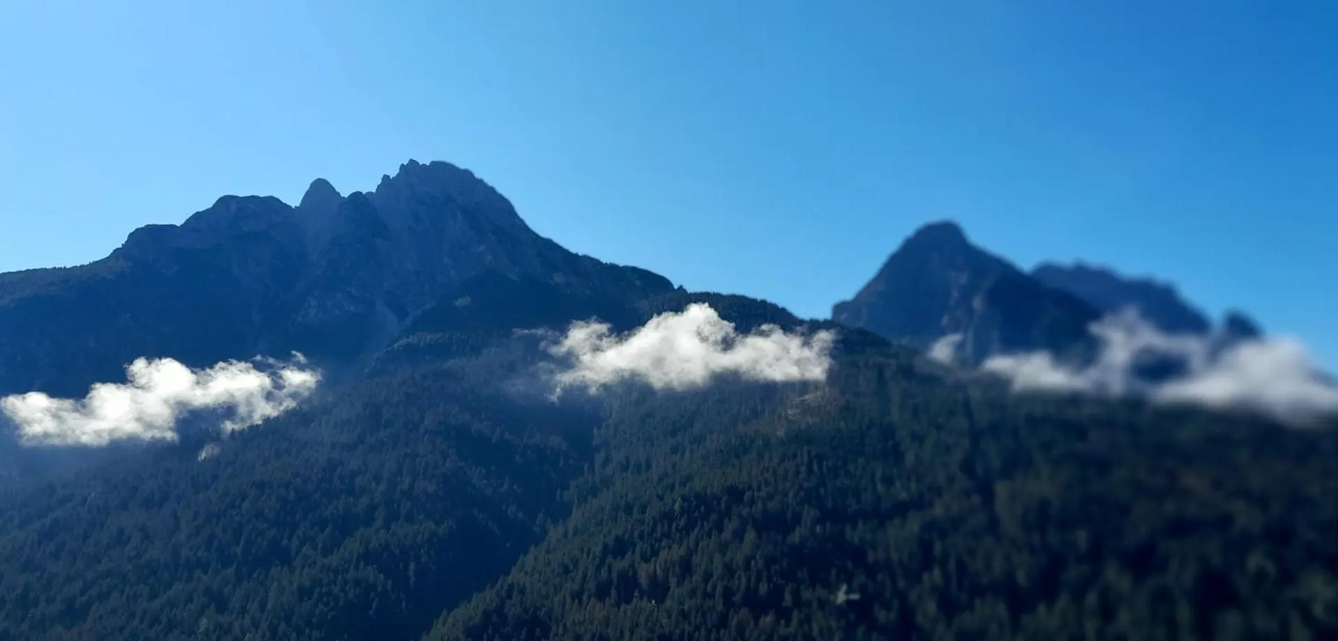 Dolomiti Ferienwohnung, Appartamento Vacanze. San Pietro di Cadore