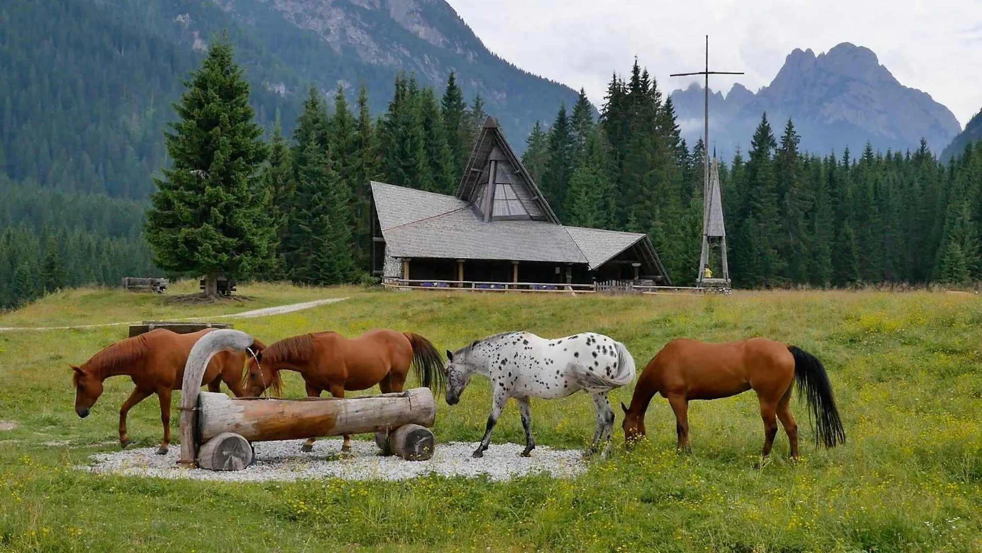 Dolomiti Ferienwohnung, Appartamento Vacanze. San Pietro di Cadore 0*,