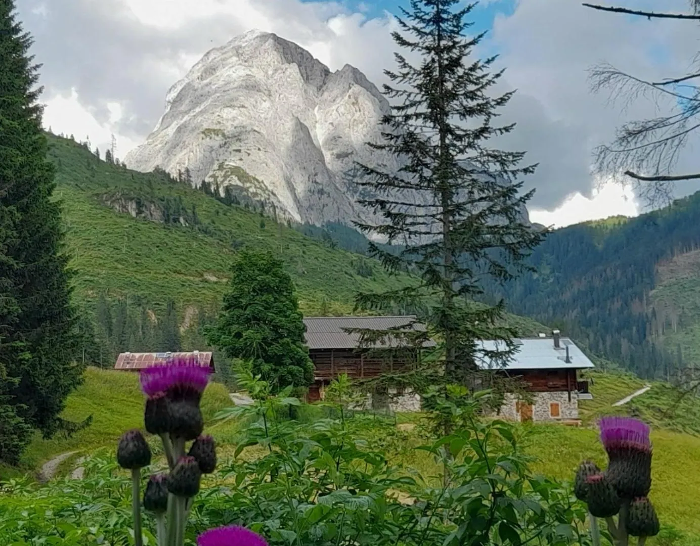 Dolomiti Ferienwohnung, Appartamento Vacanze. San Pietro di Cadore Apartmán