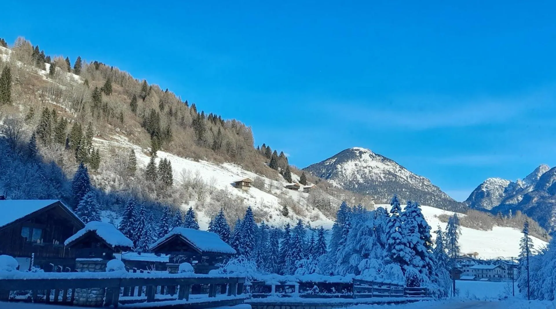 Dolomiti Ferienwohnung, Appartamento Vacanze. Сан-Пьетро-ди-Кадоре
